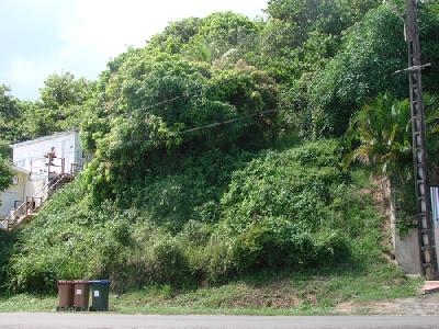 Terrain constructible de 298 m² surplombant la baie de Tartane, La Trinité