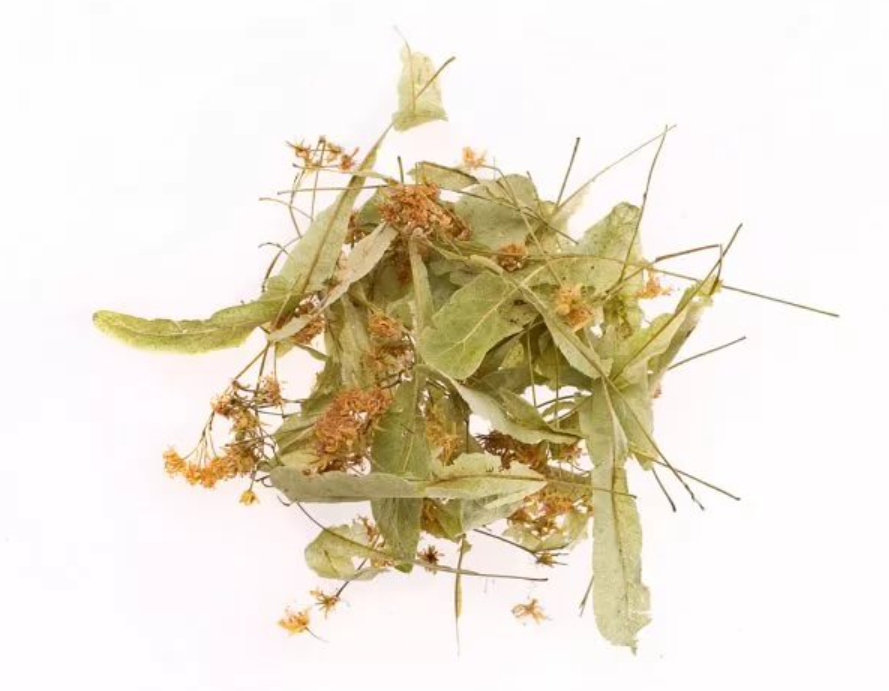 Vente Tilleul à petites feuilles en gros du fabricant à des prix optimaux - photo 1