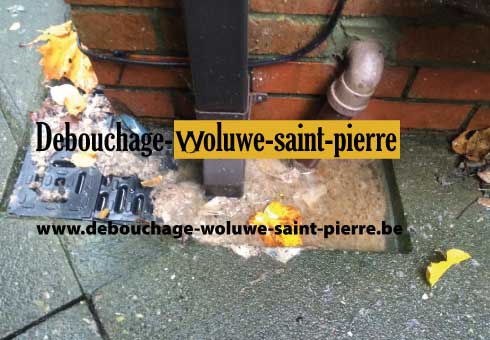 Débouchage Pierre - photo 1