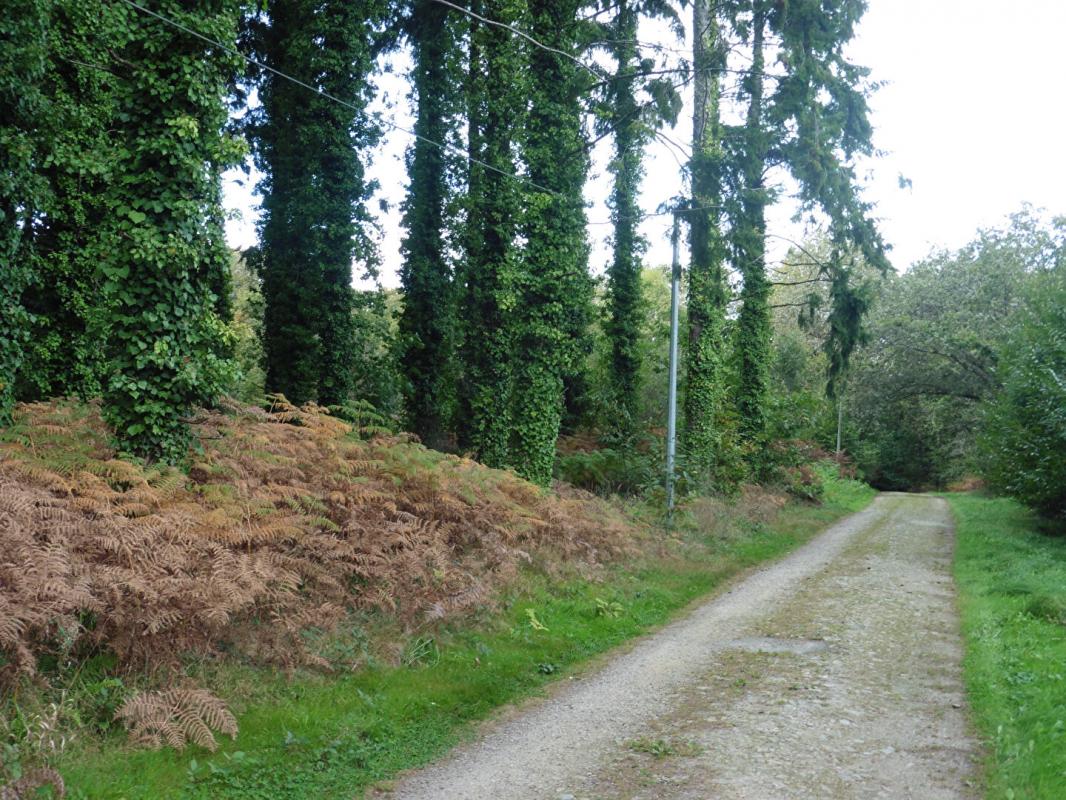 Terrains Moëlan-Sur-Mer 11 Hectares - photo 1