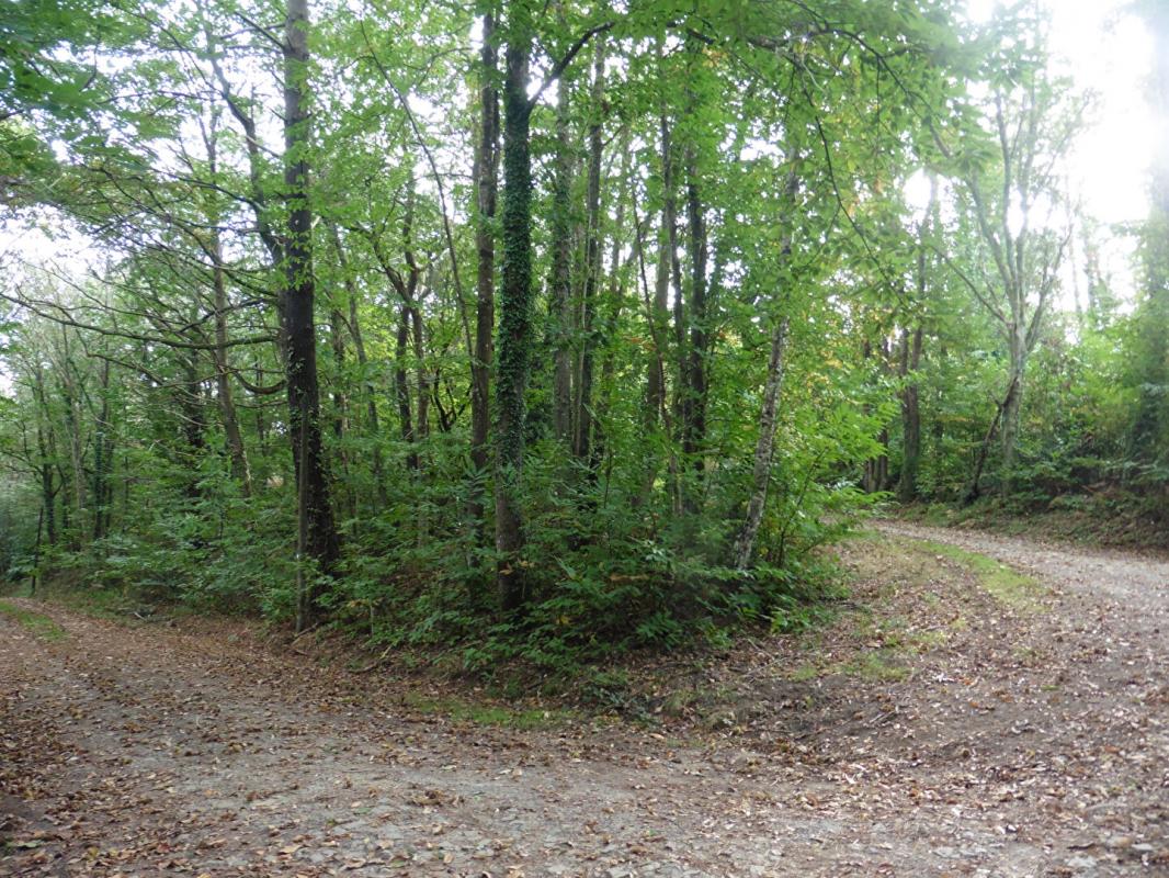 Terrains Moëlan-Sur-Mer 11 Hectares - photo 2
