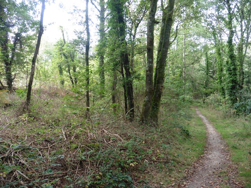 Terrains Moëlan-Sur-Mer 11 Hectares - photo 4