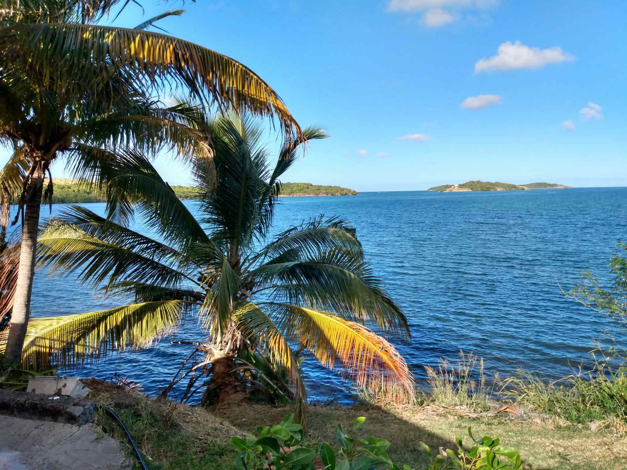 Maison à louer à Frégate en Martinique - photo 2