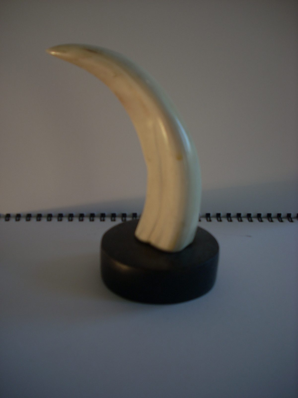 objets de décoration - photo 1