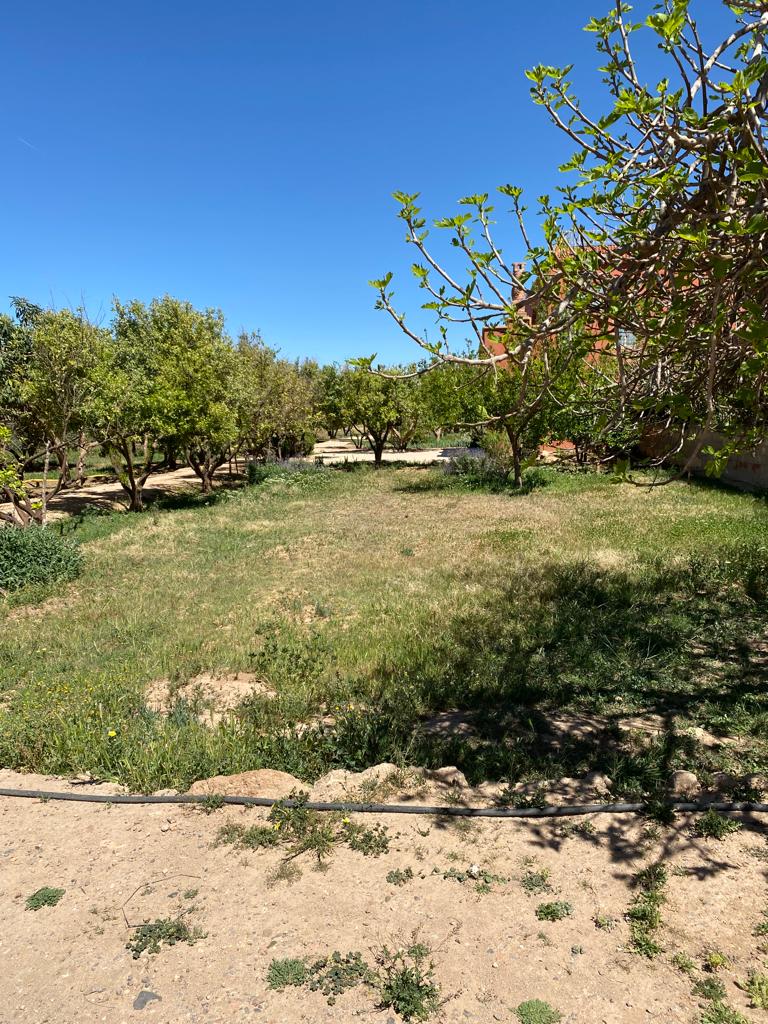 Propriété de plus e 4 hectares - photo 2