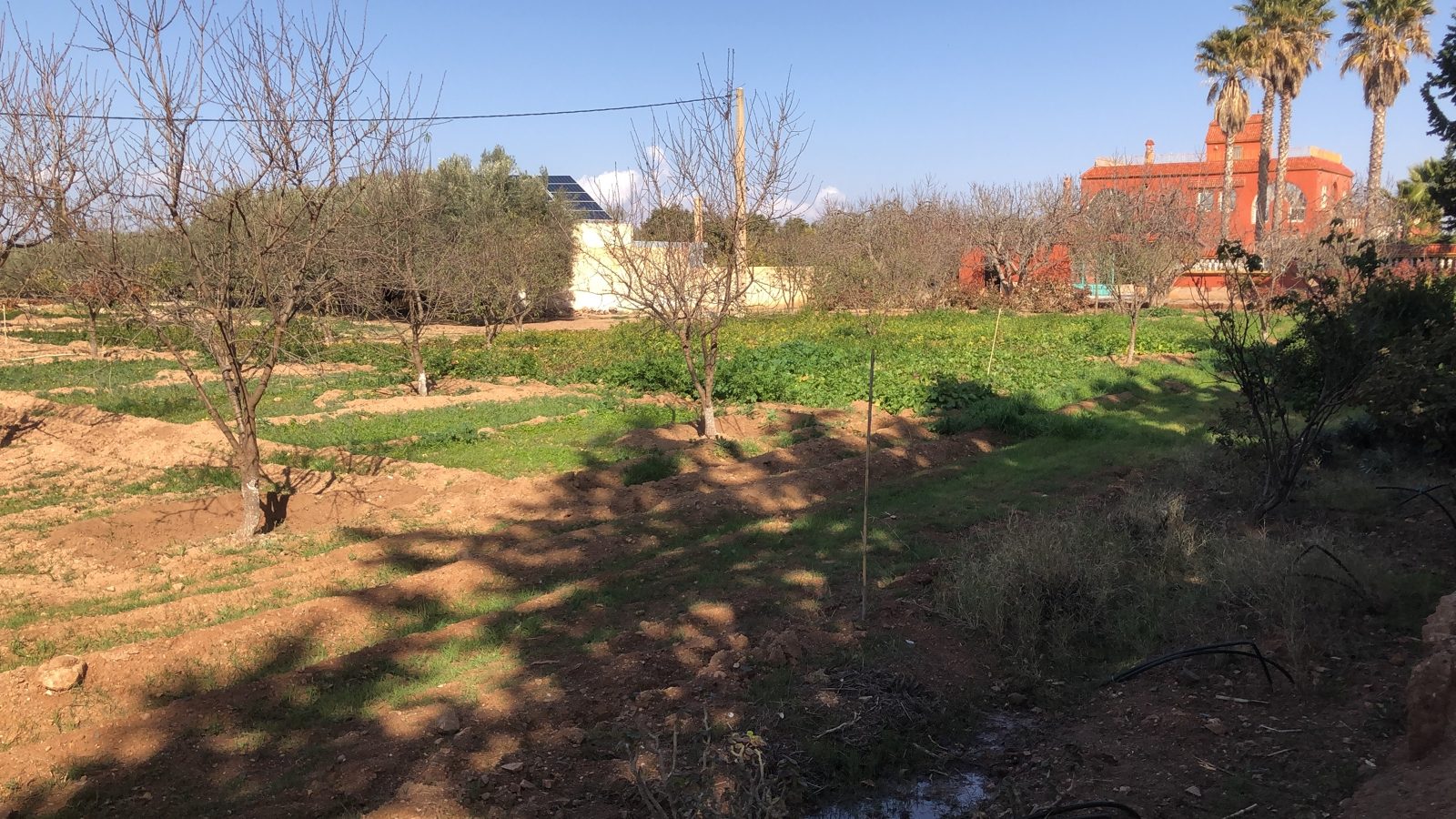 Propriété de plus e 4 hectares - photo 5