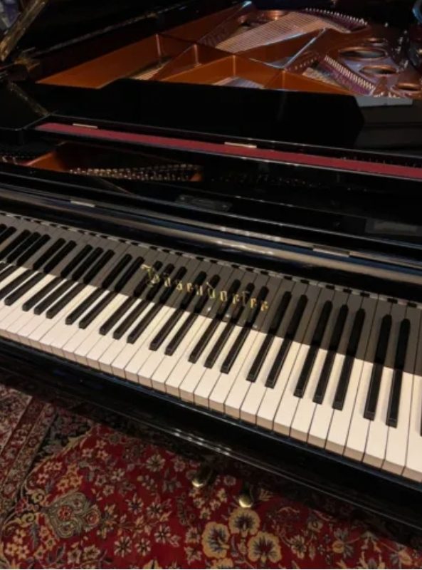 AILLE DE CONCERT BÖSENDORFER AVEC MÉCANIQUE DE COURSE DE GRANDE PIANO - photo 2