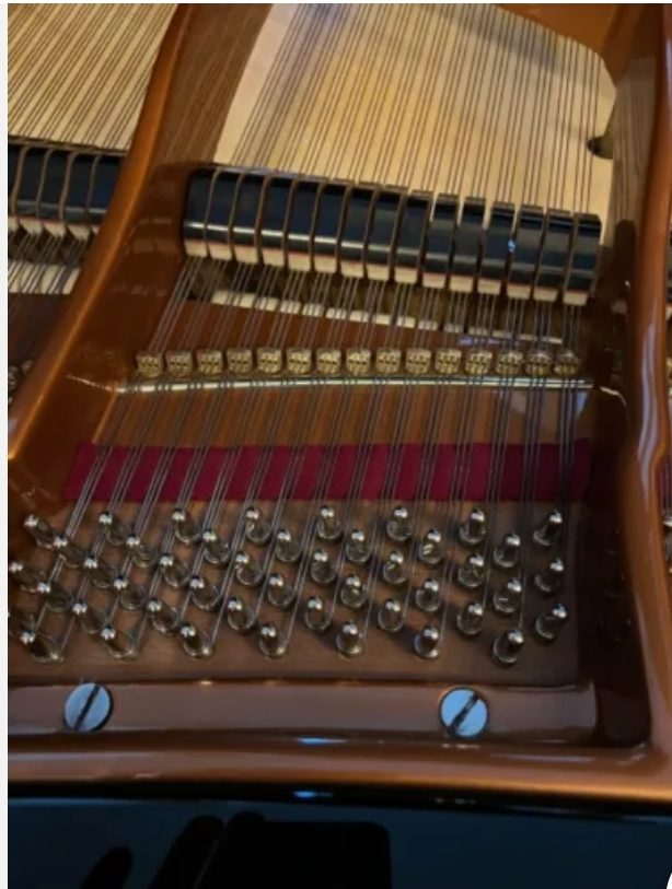 AILLE DE CONCERT BÖSENDORFER AVEC MÉCANIQUE DE COURSE DE GRANDE PIANO - photo 3