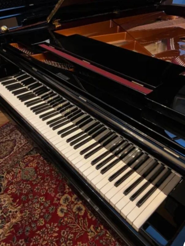 AILLE DE CONCERT BÖSENDORFER AVEC MÉCANIQUE DE COURSE DE GRANDE PIANO - photo 4