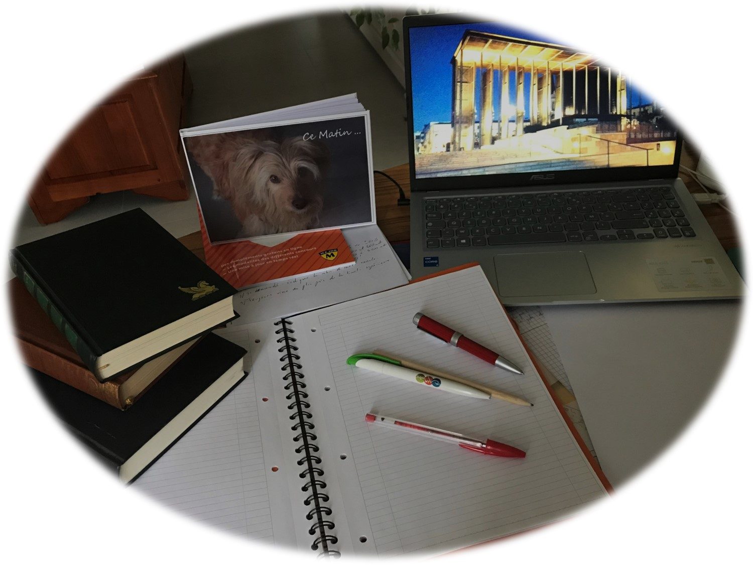 Ecrivain public pour professionnels - photo 1