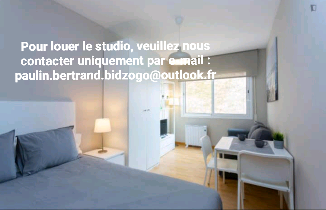 Studio meublé à Lyon - photo 1