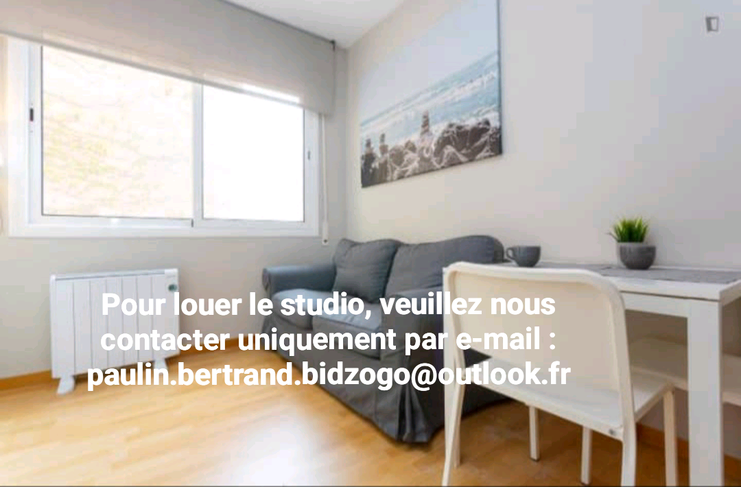 Studio meublé à Lyon - photo 3