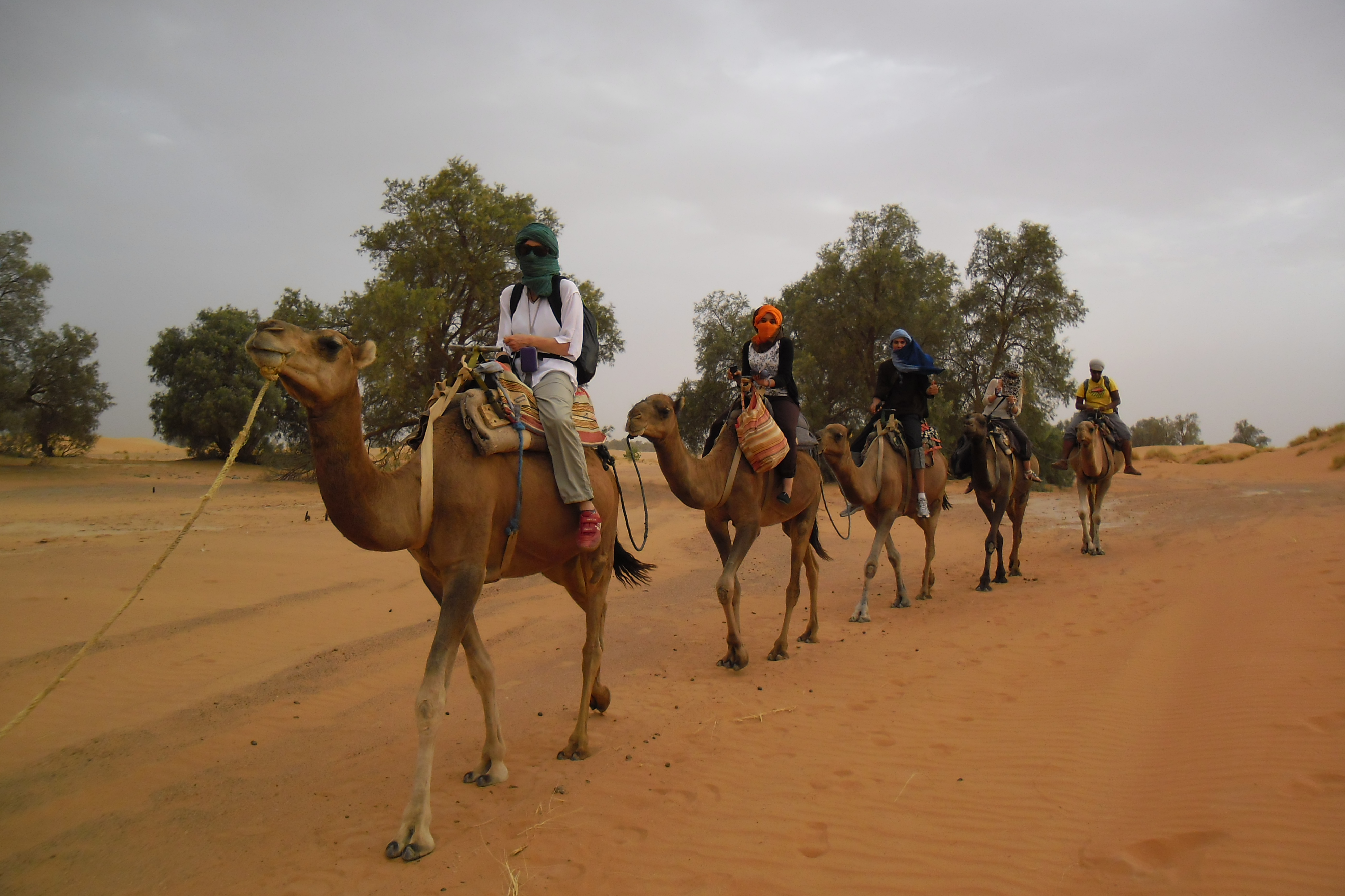 2024 chantiers internationaux de travail humanitaire pour l’année 2024 ua Maroc. - photo 4