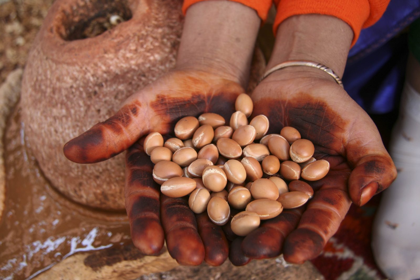 Huile d'Argan Bio Vierge & Désodorisée - photo 2