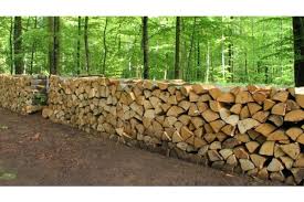 du bon bois de chauffage - photo 2