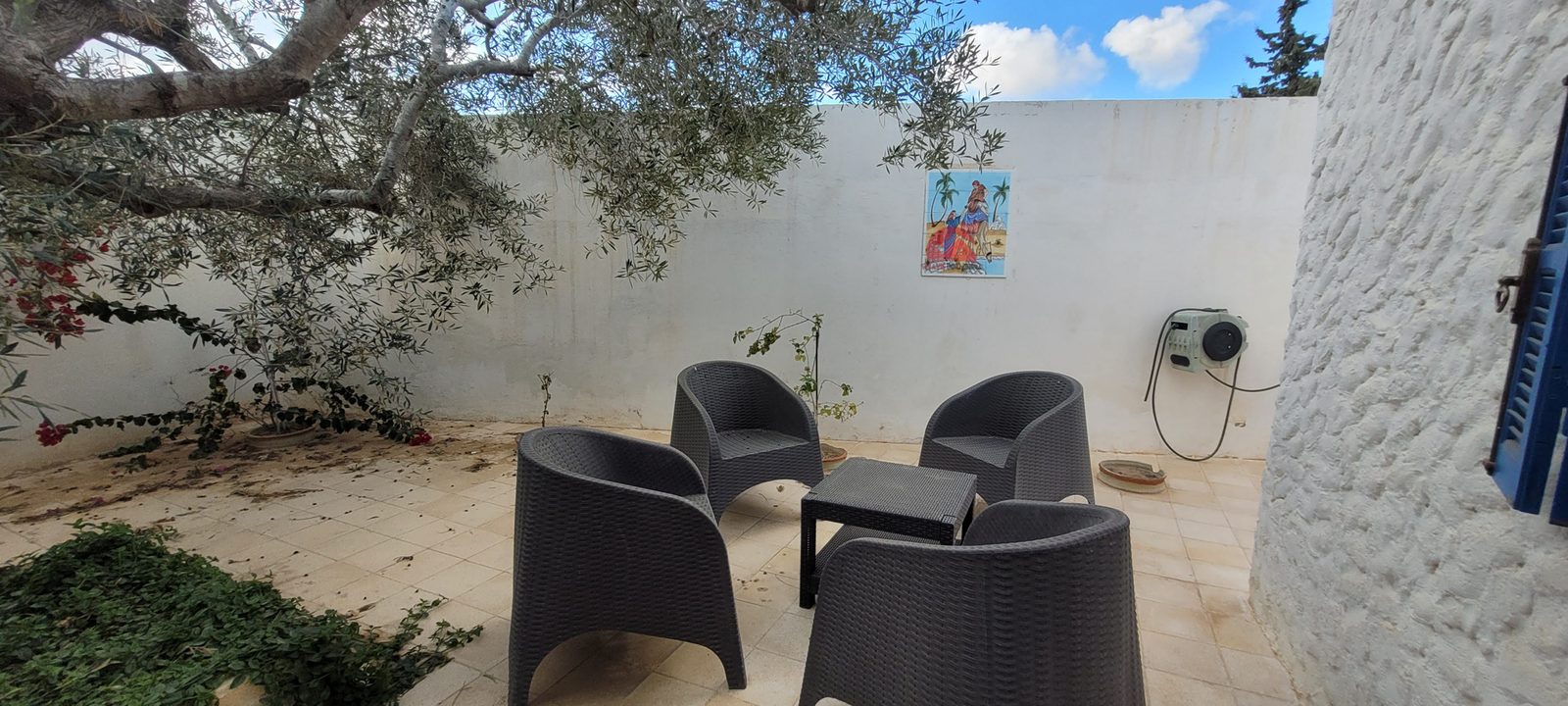 GRANDE PROPRIÉTÉ À DJERBA ARKOU ZA - RÉF V668 - photo 6