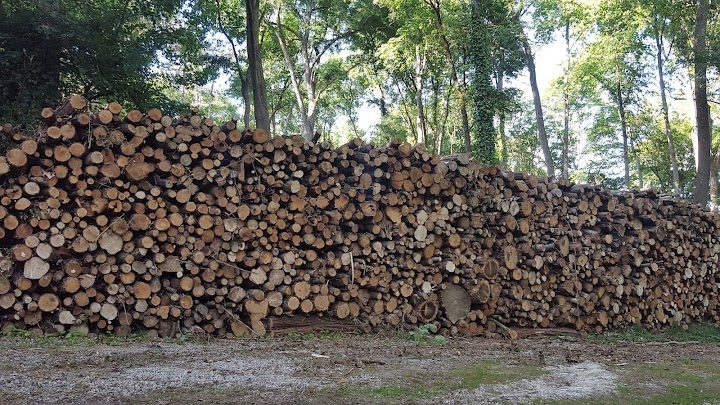 Bois de chauffage - photo 4