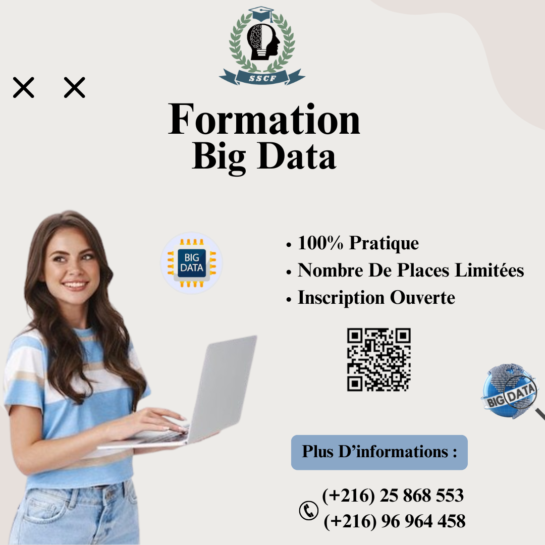 Formation certifiée en Big Data - photo 1