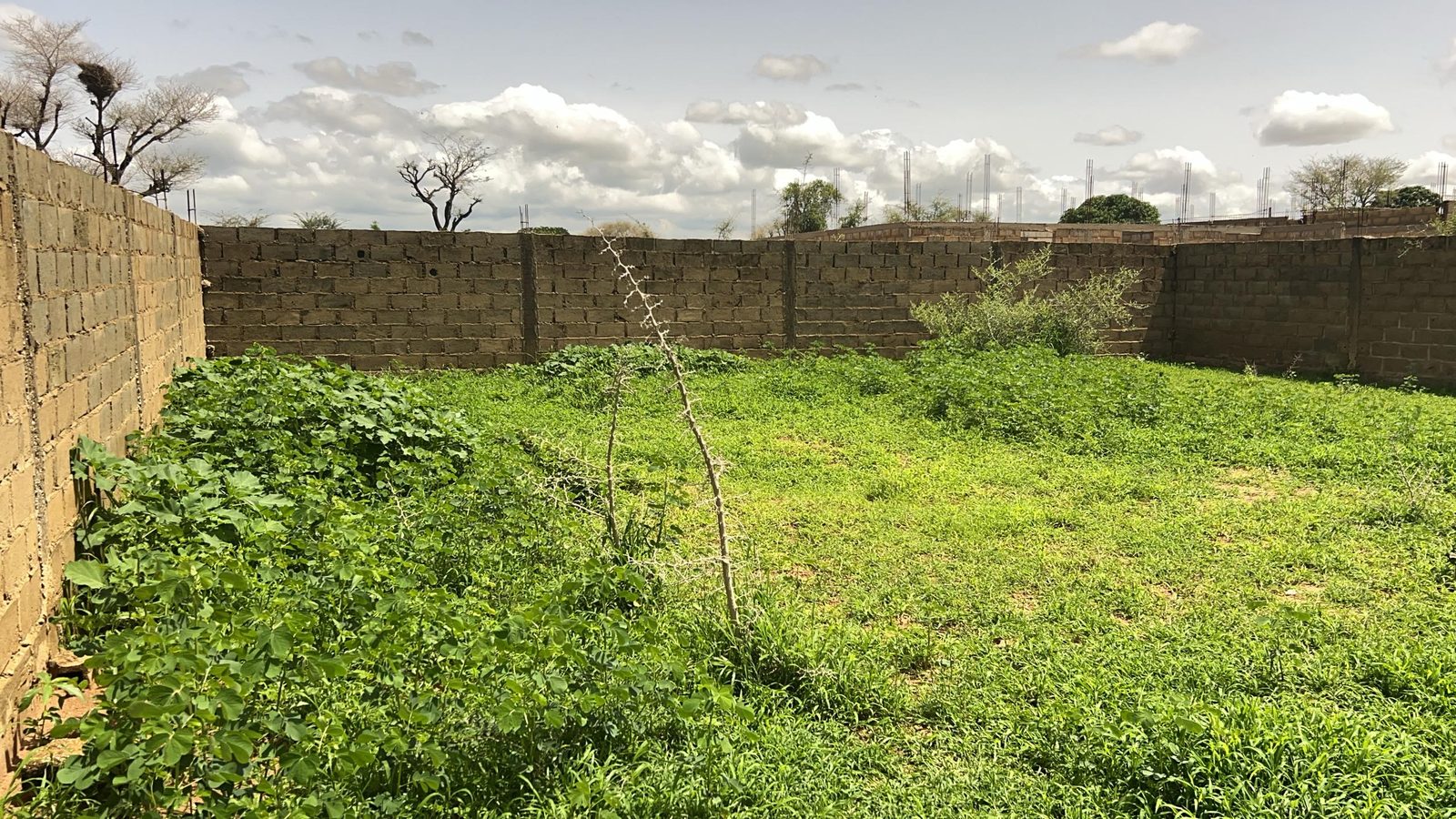 Terrain de 450 mètres  carrés à vendre à Gandigal sénégal - photo 3