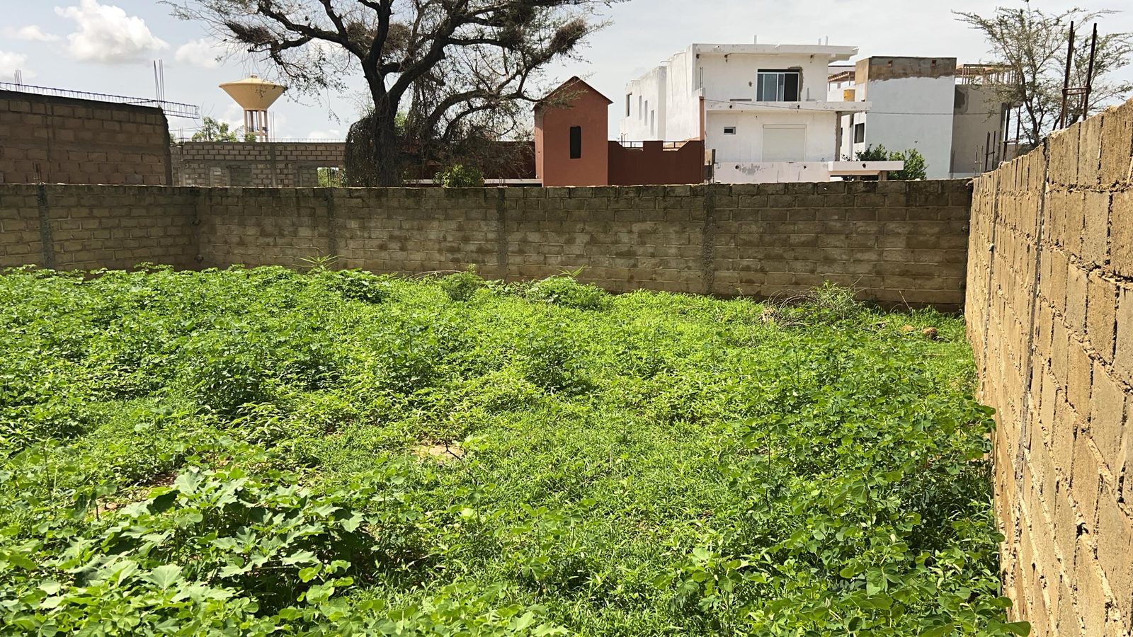Terrains de 225 mètres carrés à vendre à Gandigal Sénégal - photo 2