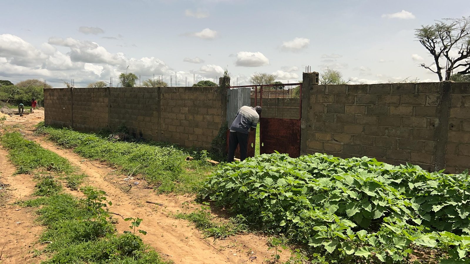 Terrains de 225 mètres carrés à vendre à Gandigal Sénégal - photo 4