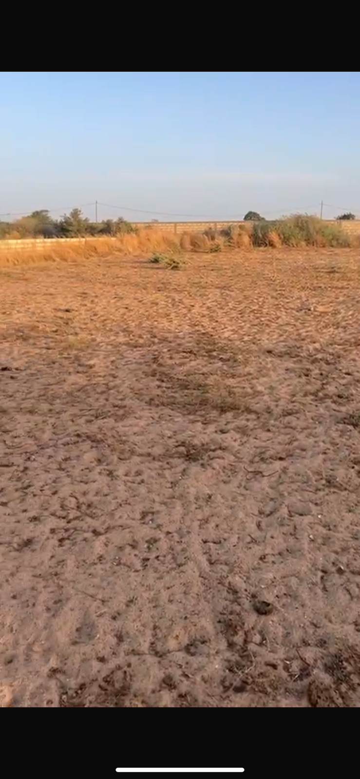 Terrains de 2000 mètres carrés à vendre à Nguérigne Sénégal - photo 3