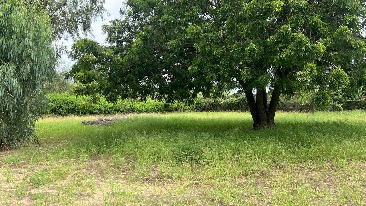 Terrain de 1000 mètres carrés à vendre à Warang Sénégal - photo 2
