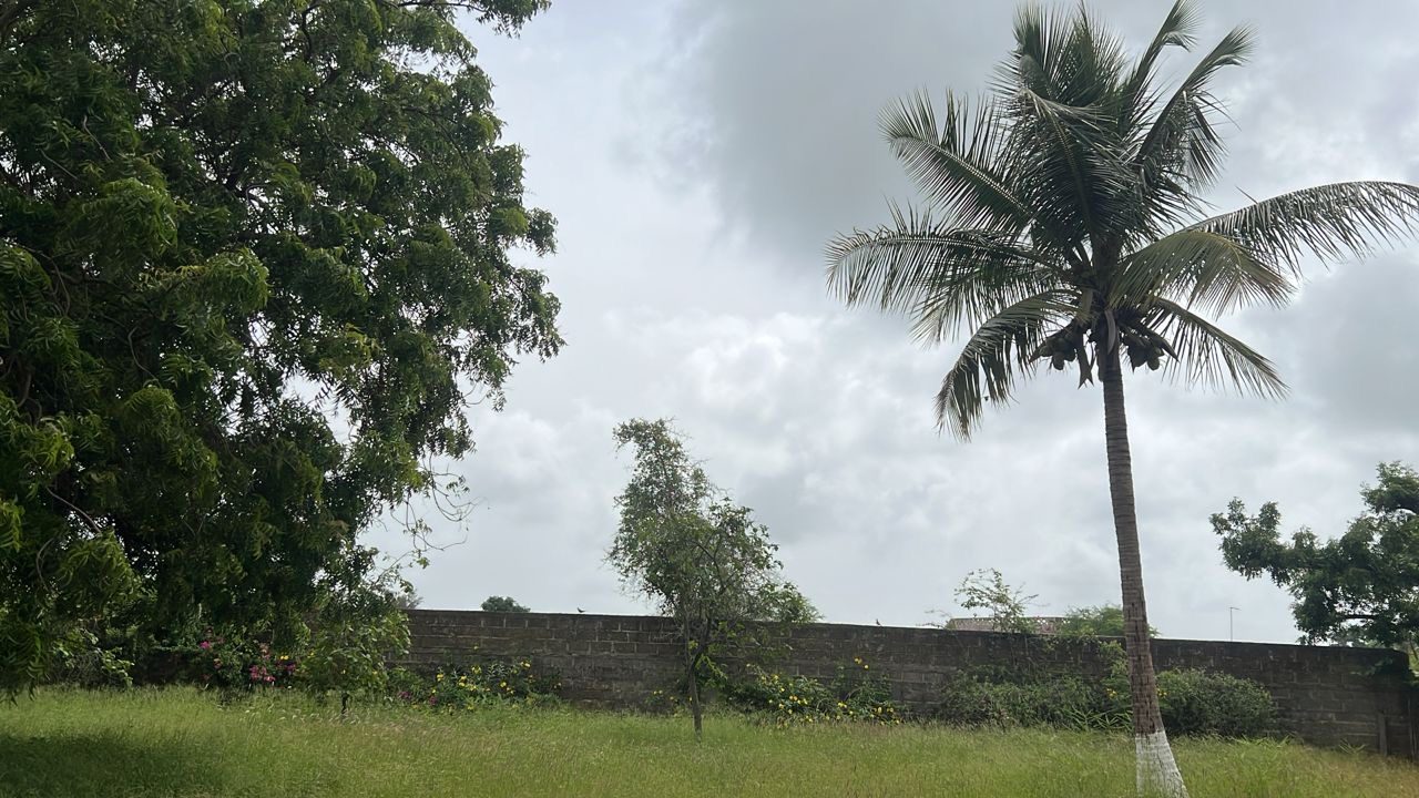 Terrain de 1000 mètres carrés à vendre à Warang Sénégal - photo 3