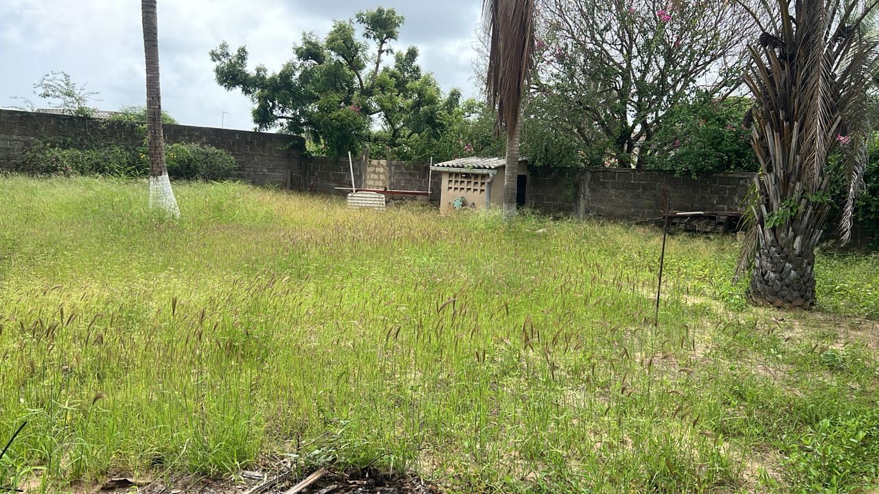 Terrain de 1000 mètres carrés à vendre à Warang Sénégal - photo 4