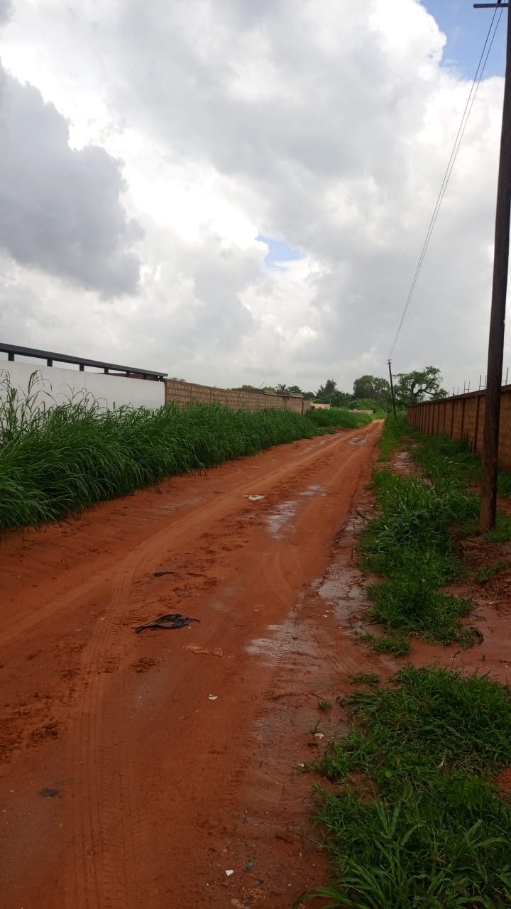 Terrain de 1000 mètres carrés à vendre à Nguérigne Sénégal - photo 3