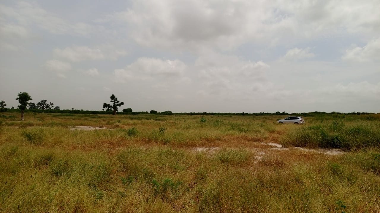 Terrains de 200 mètres carrés à vendre à Thiès Sénégal - photo 2