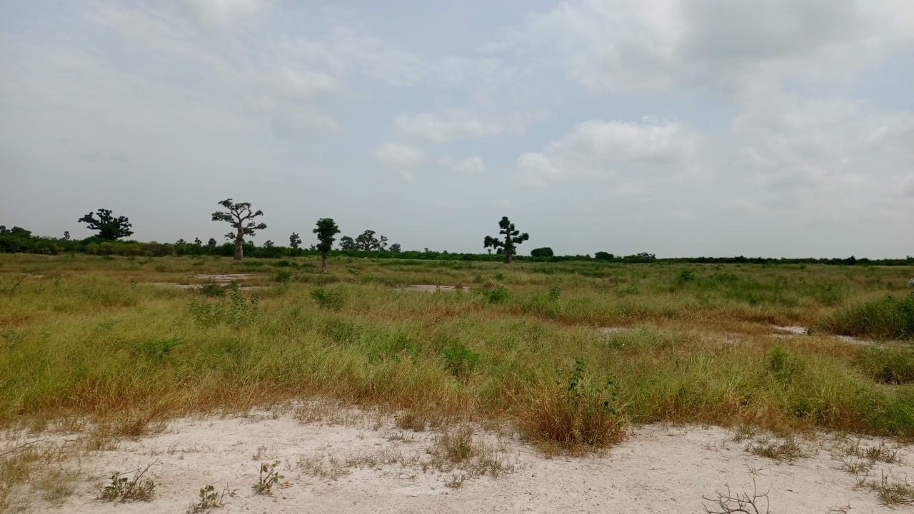 Terrains de 200 mètres carrés à vendre à Thiès Sénégal - photo 3