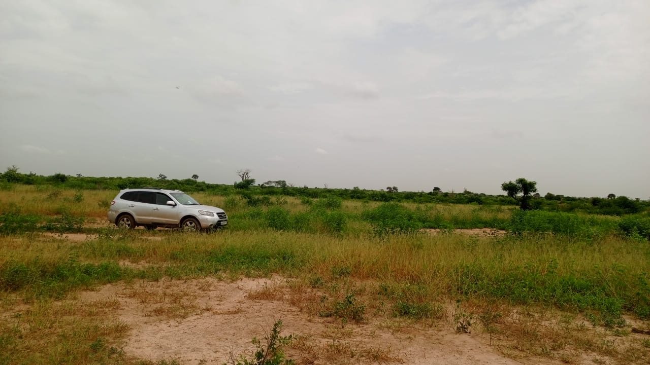 Terrains de 180 mètres carrés à vendre à Thiès - photo 4