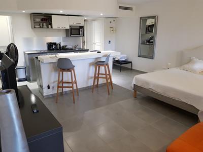 Appartement 1 pièce à Saint-Louis - photo 1