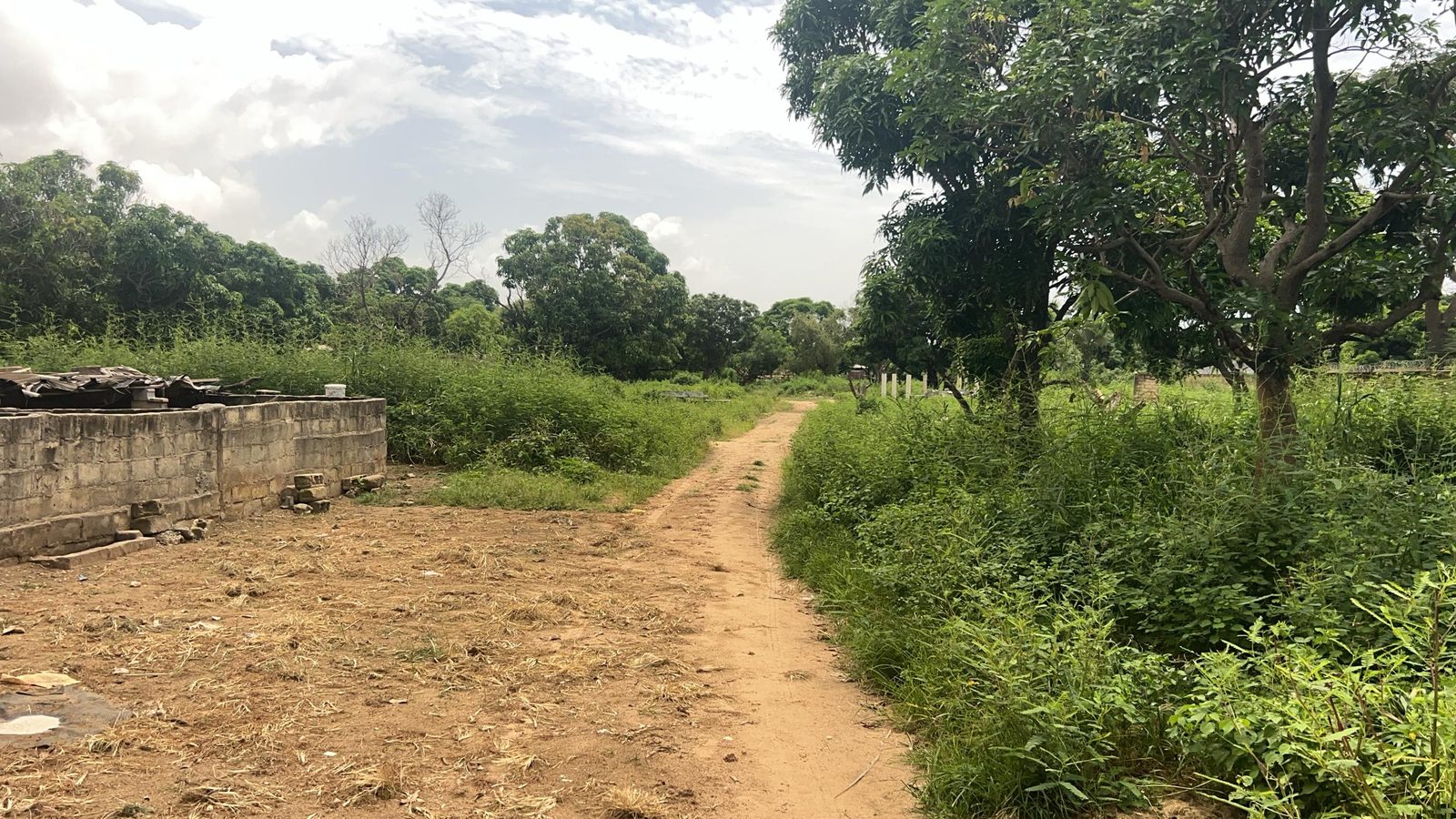 Terrain de 600 mètres carrés à vendre à Saly Sénégal - photo 2