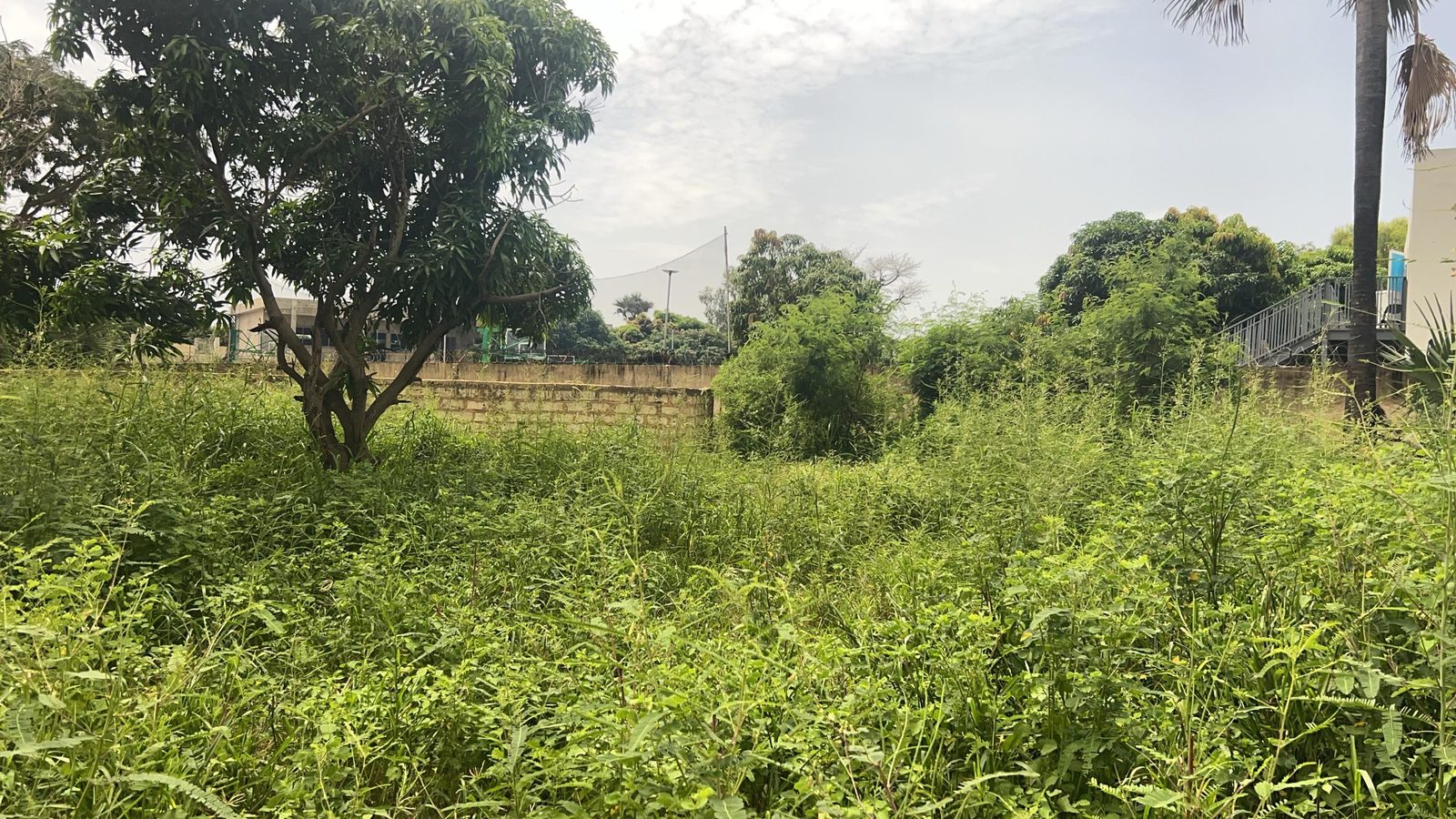 Terrain de 600 mètres carrés à vendre à Saly Sénégal - photo 3