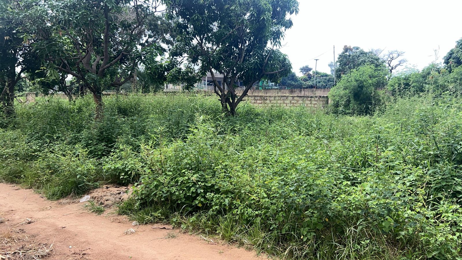 Terrain de 600 mètres carrés à vendre à Saly Sénégal - photo 4