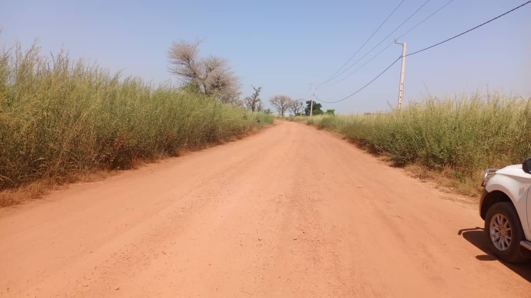 Terrain de 1 hectare à vendre à Mbourokh Sénégal - photo 2