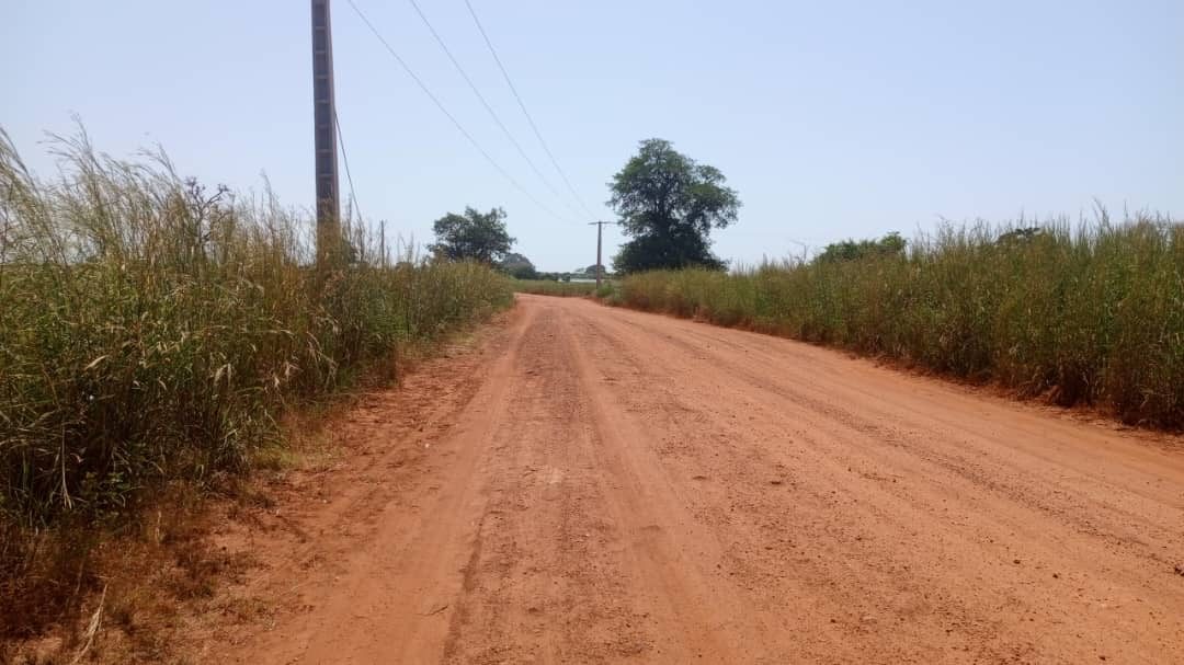 Terrain de 1 hectare à vendre à Mbourokh Sénégal - photo 3