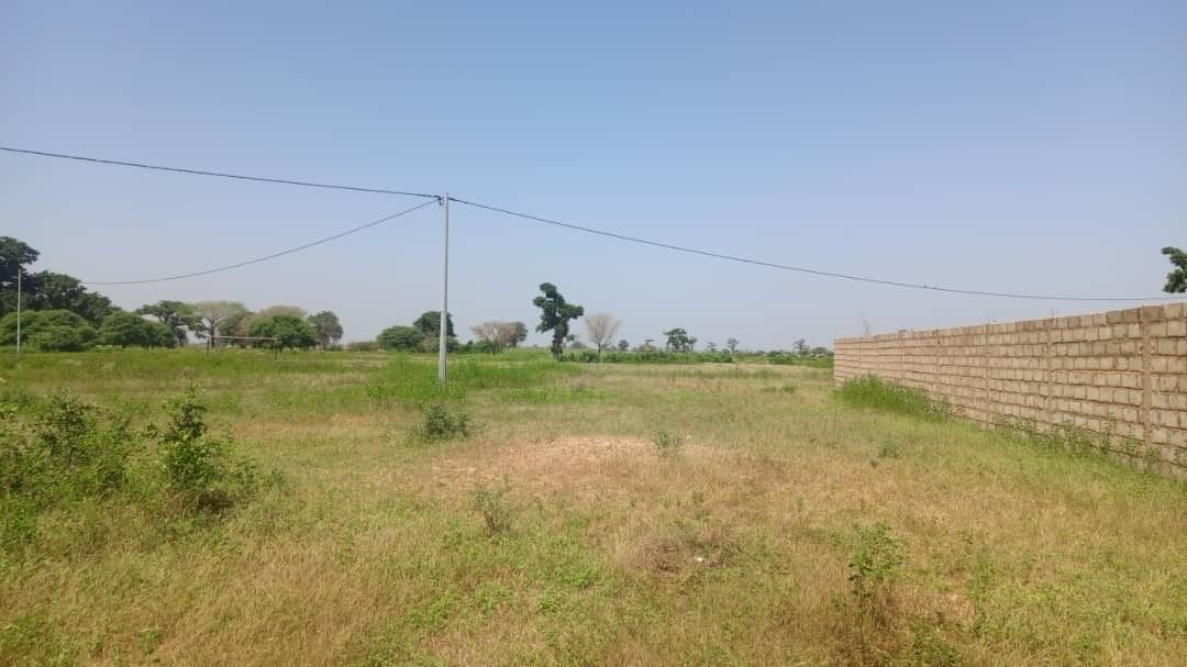 Terrain 3 hectares et demi à vendre à Mbourokh Sénégal - photo 2