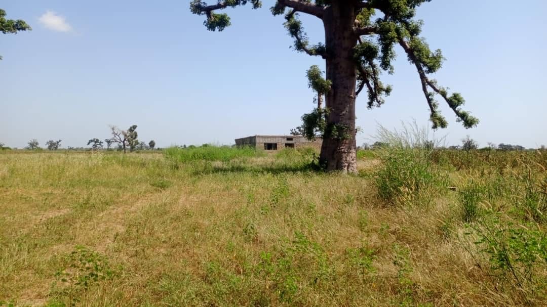 Terrain 3 hectares et demi à vendre à Mbourokh Sénégal - photo 3