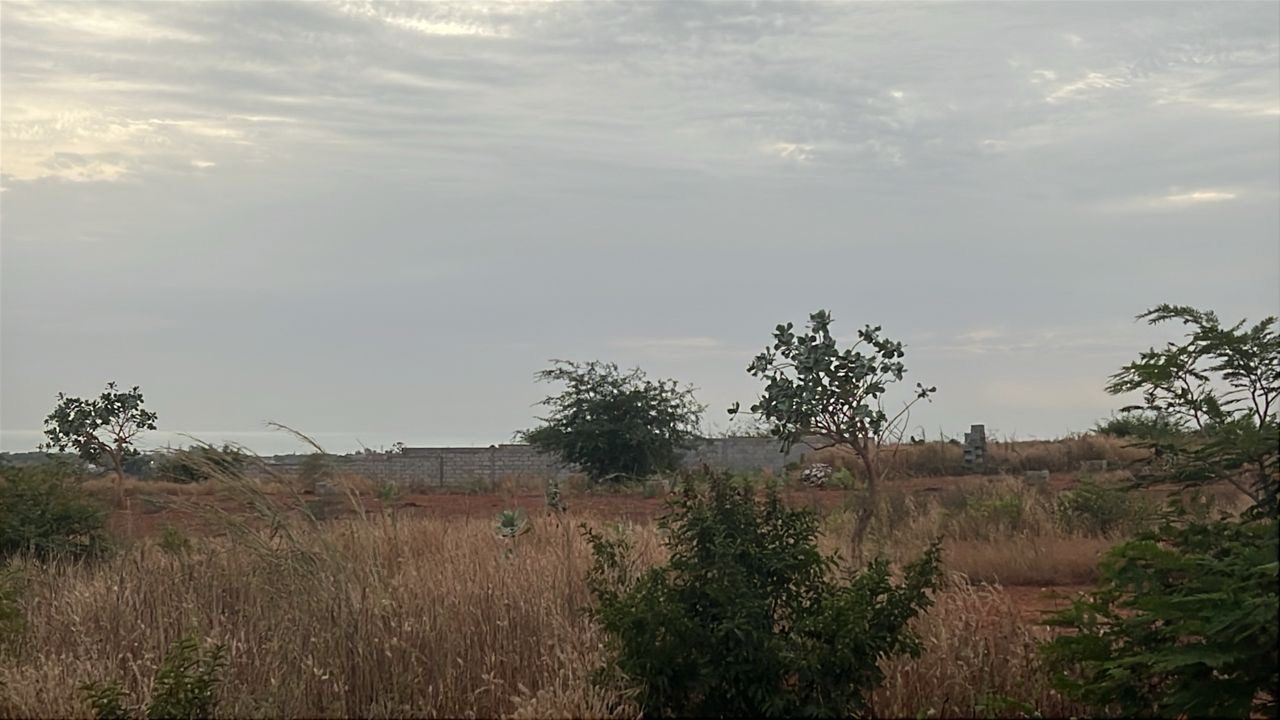 Terrains de 300 mètres carrés à vendre à Guéréo Sénégal - photo 3