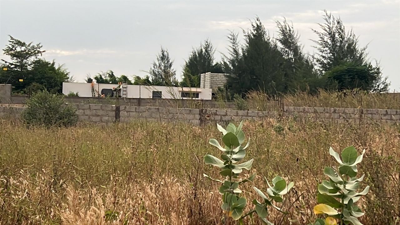 Terrains de 300 mètres carrés à vendre à Guéréo Sénégal - photo 3