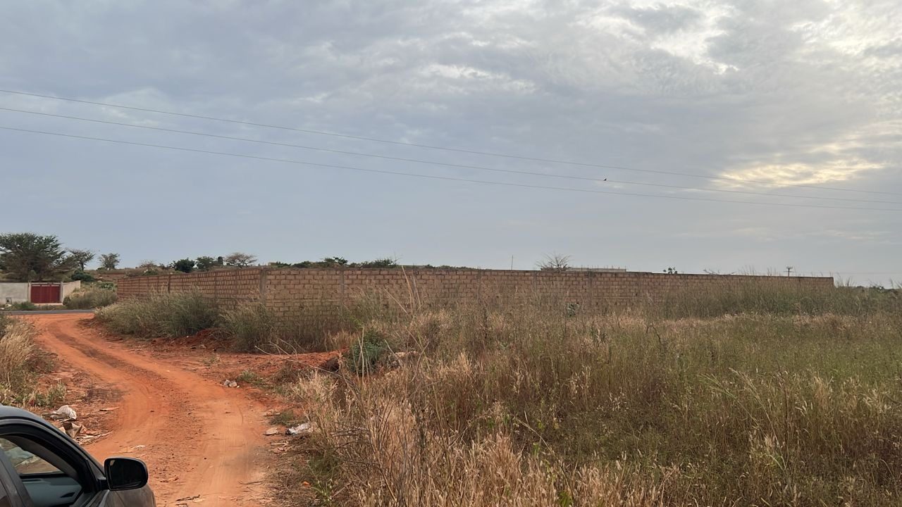 Terrains de 300 mètres carrés à vendre à Guéréo Sénégal - photo 4