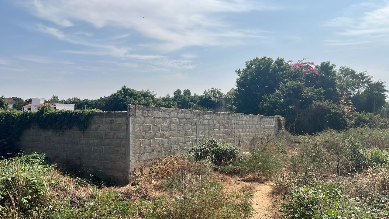 Terrain de 600 mètres carrés à vendre à Saly Sénégal - photo 2
