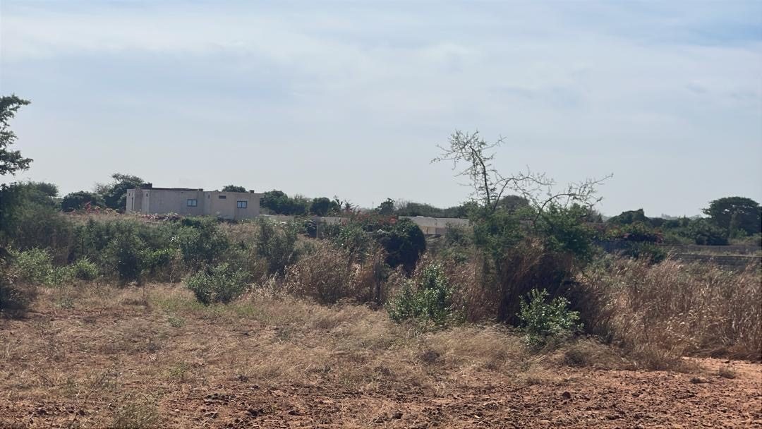 Terrain de 2000 mètres carrés à vendre à Nguérigne Sénégal - photo 2
