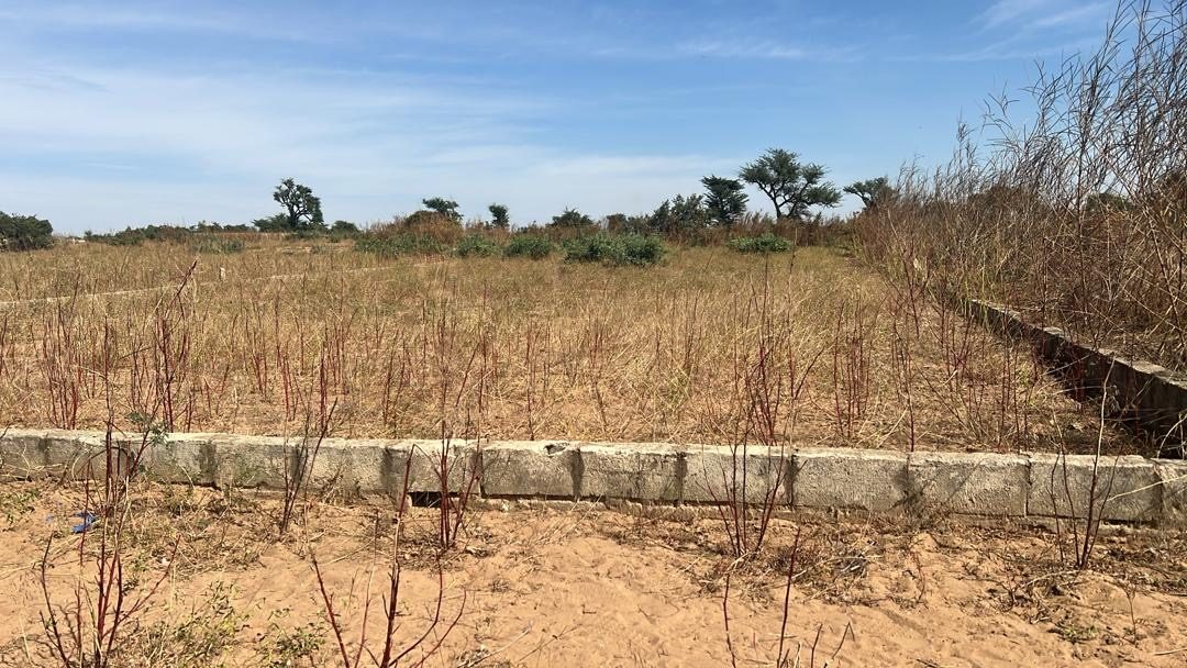 Terrain de 300 mètres carrés à vendre à Malicounda Sénégal - photo 4