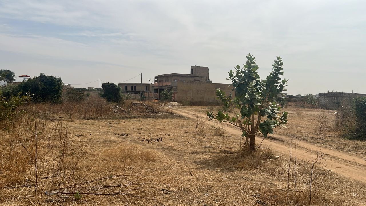 Terrain de 250 mètres carrés à vendre à Gandigal Sénégal - photo 2
