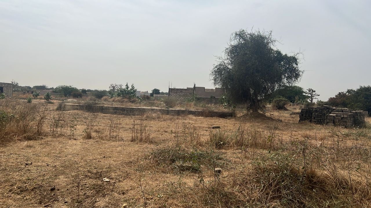 Terrain de 250 mètres carrés à vendre à Gandigal Sénégal - photo 3