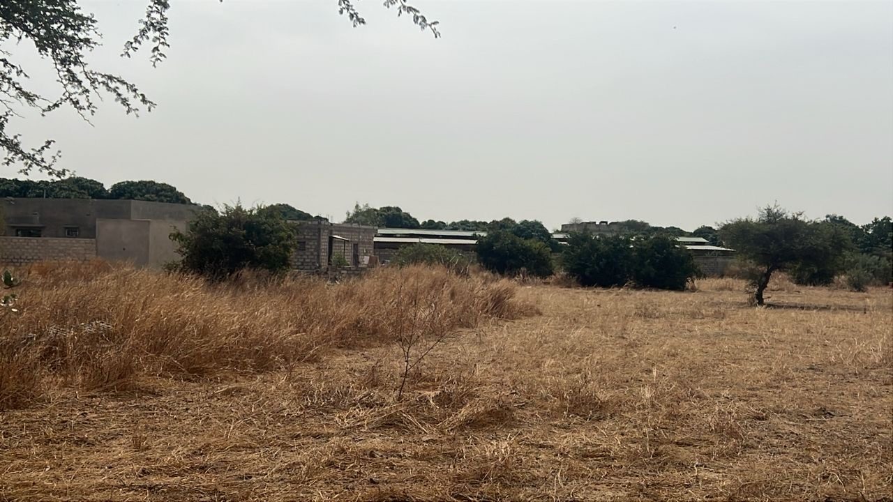 Terrains de 225 mètres carrés à vendre à Ndiorokh Sénégal - photo 2
